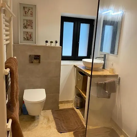 Renovated Bastide Among Vineyards Near Uzes